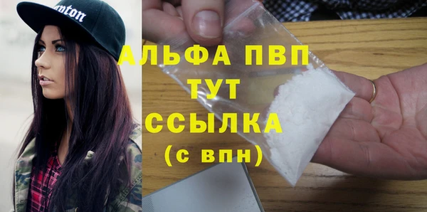 прущие грибы Абинск
