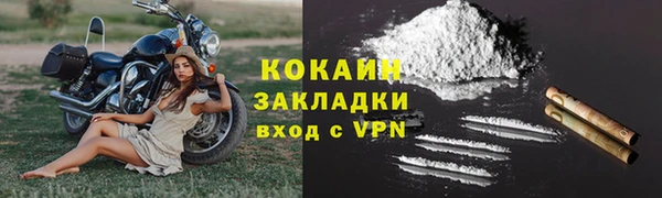 прущие грибы Абинск