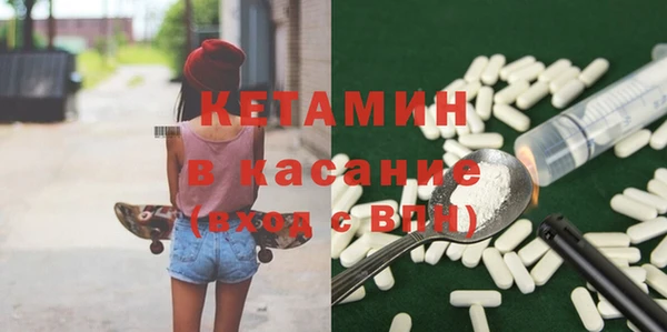прущие грибы Абинск