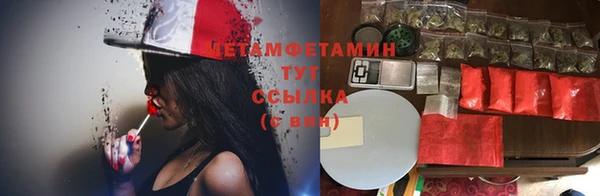 амф Абаза