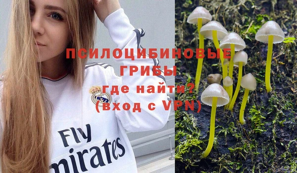 mdpv Алзамай