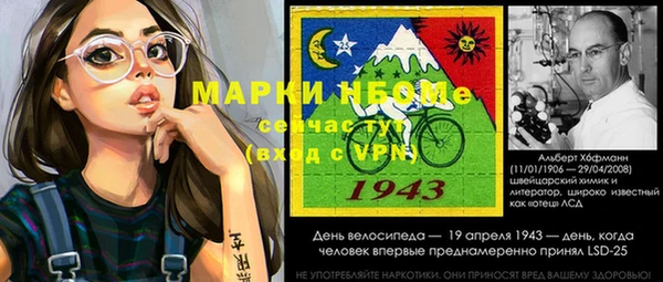 прущие грибы Абинск