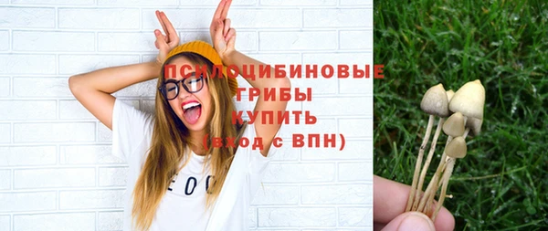 прущие грибы Абинск